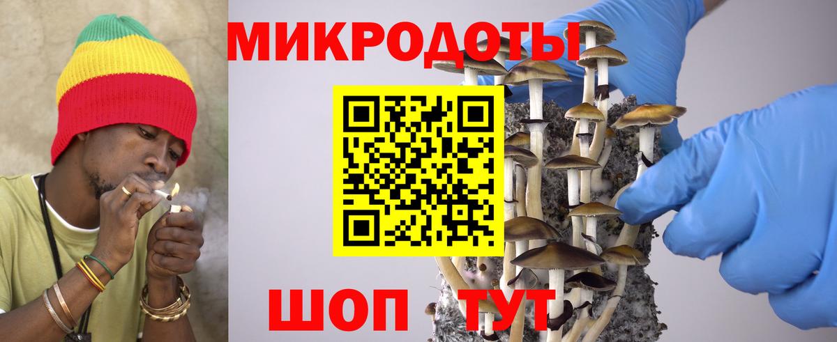 Галлюциногенные грибы Cubensis Миасс